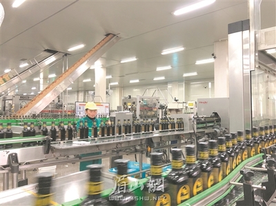 护航民营经济 眉山六大实招如何招招有力？——聚焦我市出台《促进民营经济健康发展6个实施细则》一周年（下）